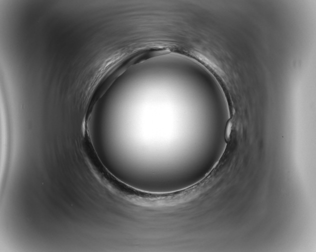 X0000087050013200704181247