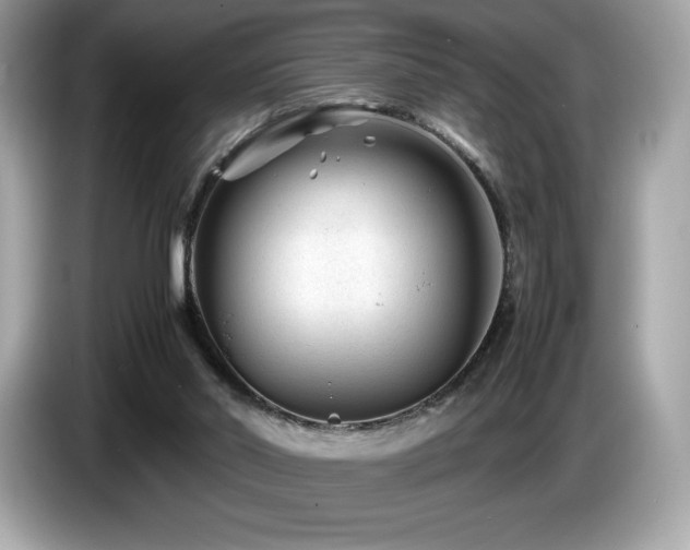 X0000087050014200704181247