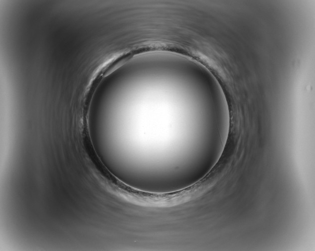 X0000087050015200704181247