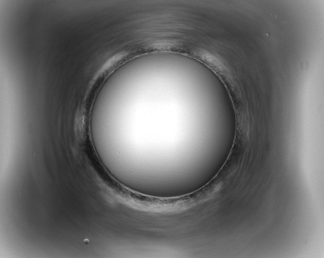X0000087050016200704181247