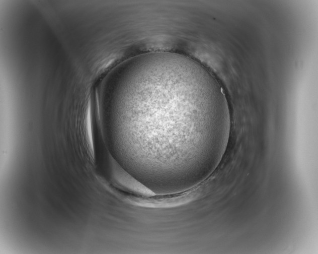 X0000087050017200704181247