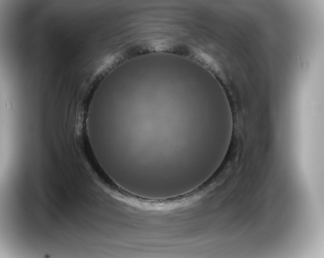 X0000087050018200704181247