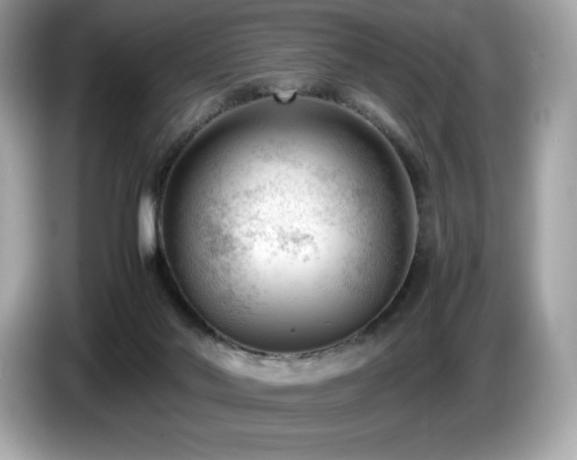 X0000087050022200704181247