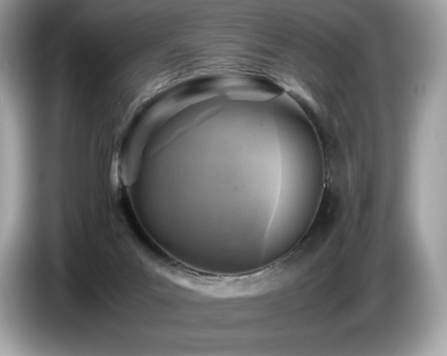 X0000087050023200704181246