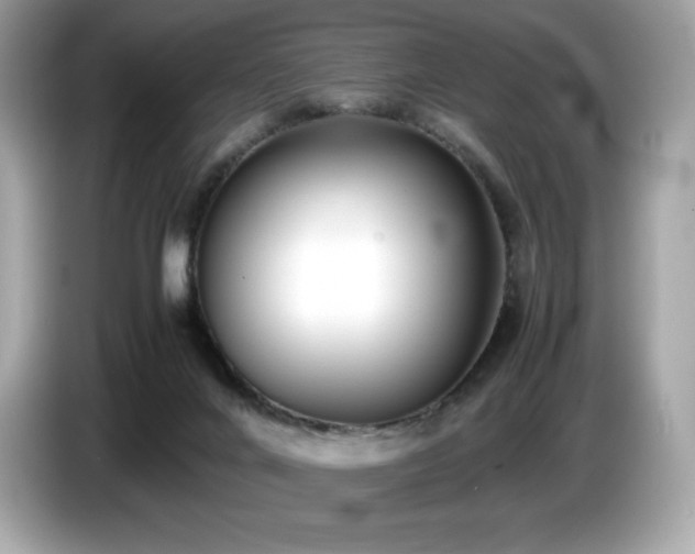 X0000087050024200704181246