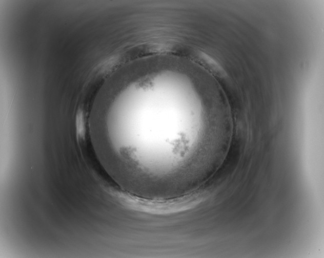 X0000087050026200704181246