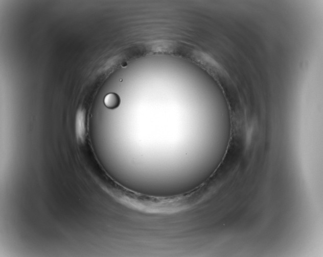 X0000087050028200704181246
