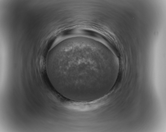 X0000087050029200704181246