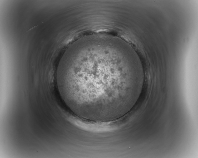 X0000087050032200704181246