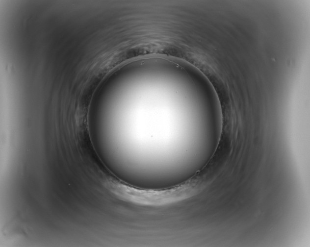 X0000087050034200704181246