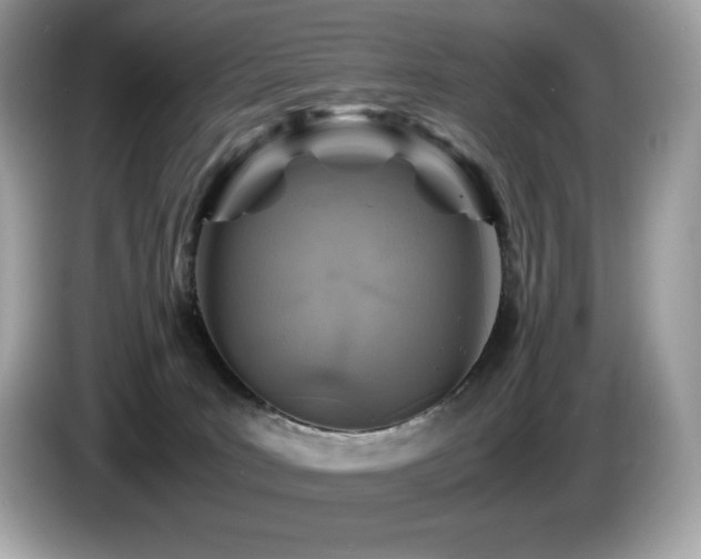 X0000087050035200704181246
