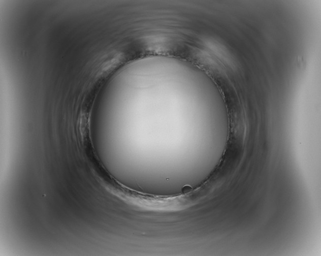 X0000087050036200704181246