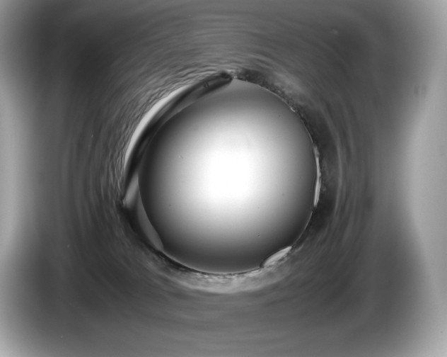 X0000087050037200704181246