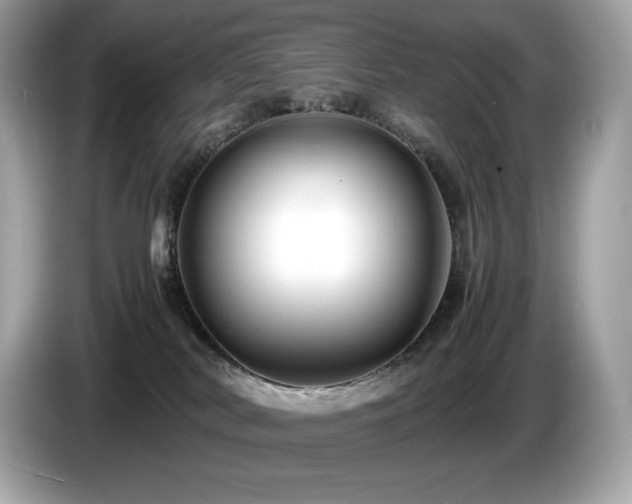 X0000087050038200704181246