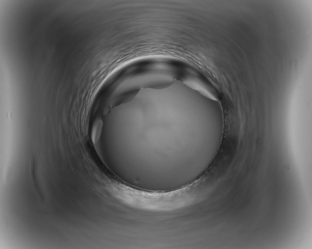 X0000087050039200704181246