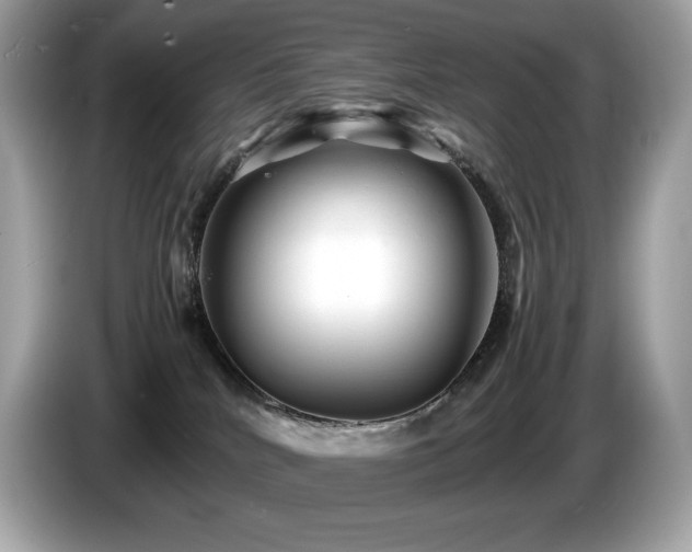 X0000087050040200704181246