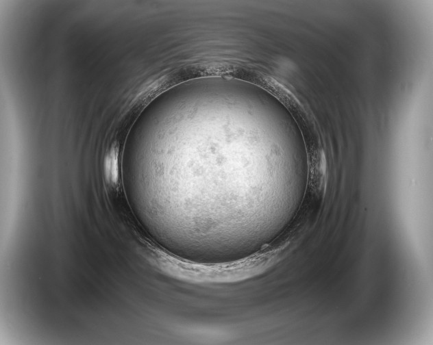 X0000087050046200704181246