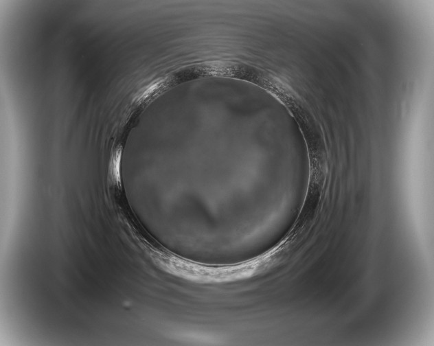 X0000087050047200704181246