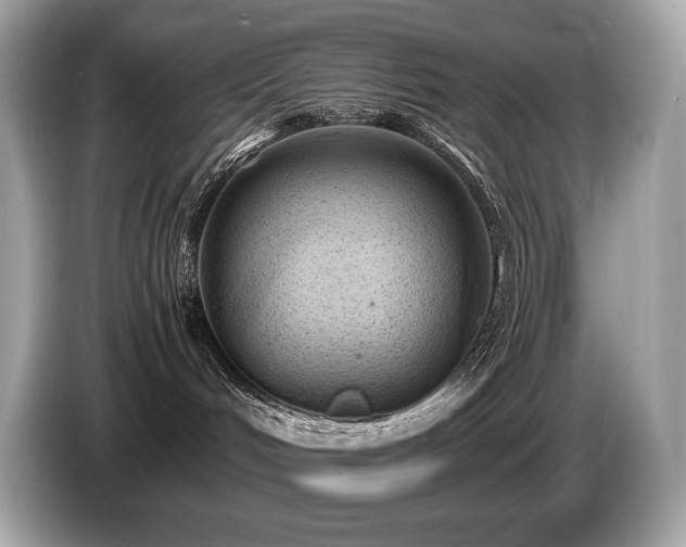 X0000087050048200704181246