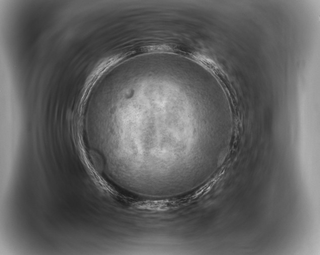 X0000087050049200704181245