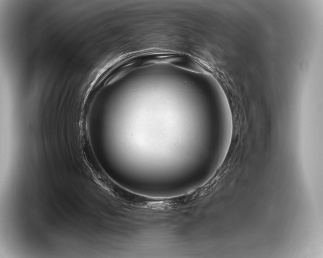 X0000087050050200704181246