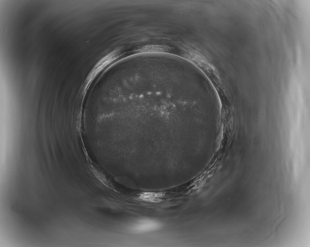 X0000087050051200704181246