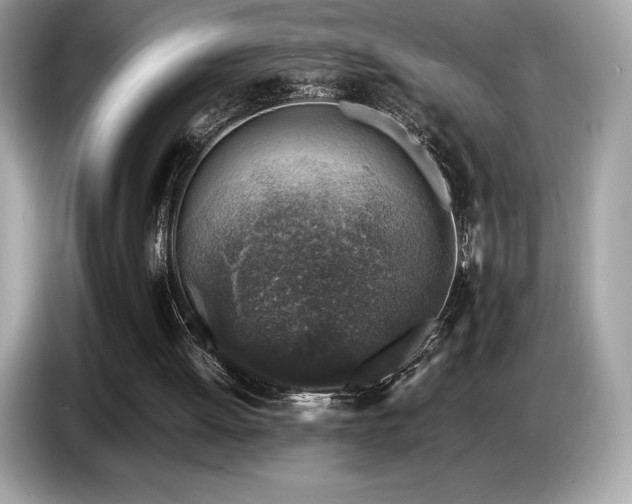 X0000087050052200704181246