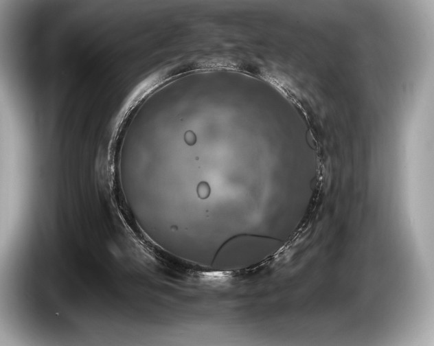 X0000087050053200704181246