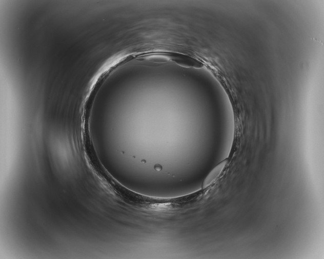X0000087050054200704181246