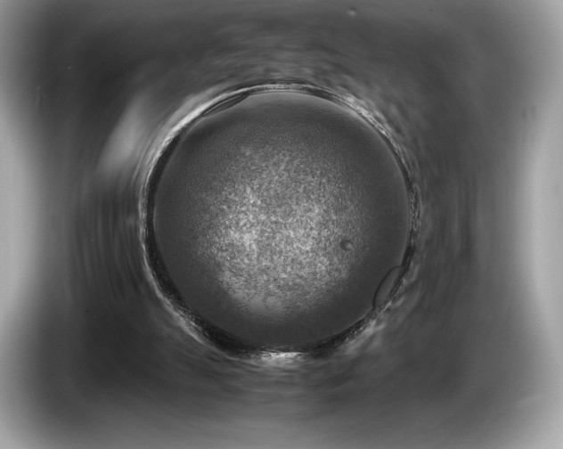 X0000087050055200704181246