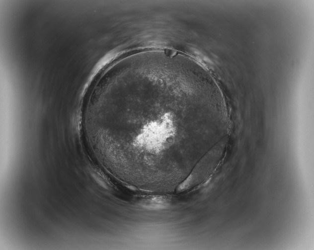 X0000087050056200704181246
