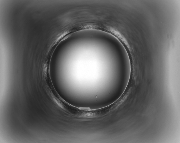 X0000087050057200704181246