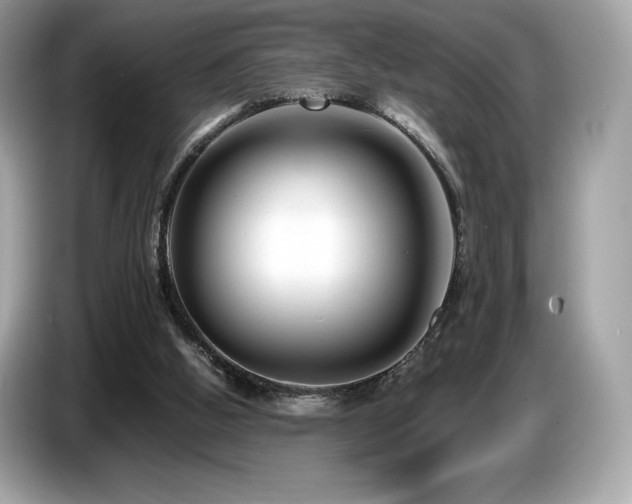 X0000087050058200704181246