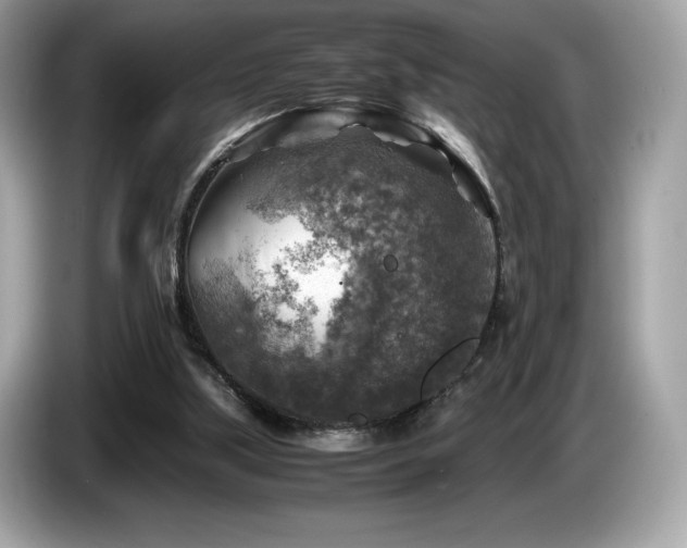 X0000087050059200704181246