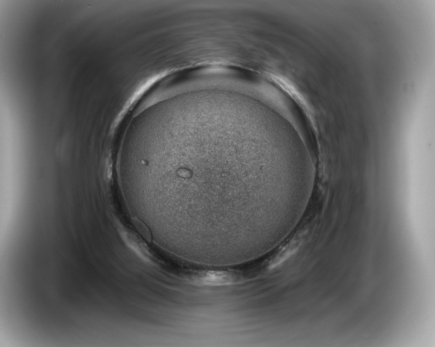 X0000087050060200704181246