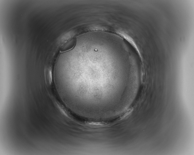 X0000087050061200704181246