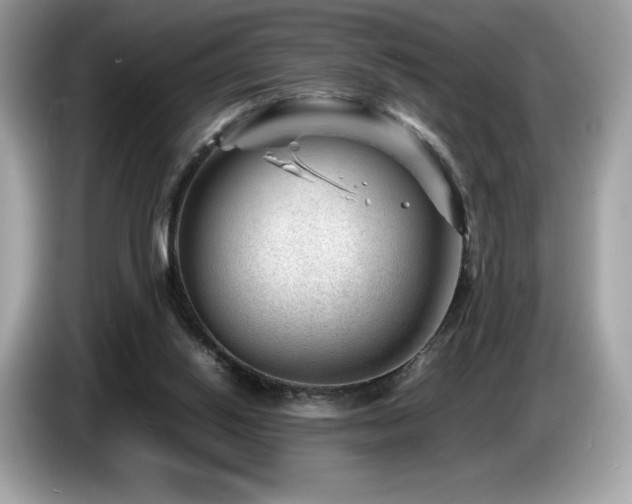 X0000087050062200704181246
