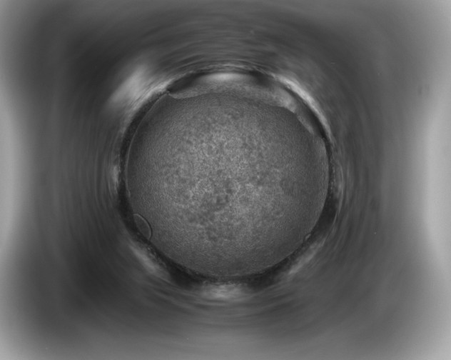 X0000087050063200704181246