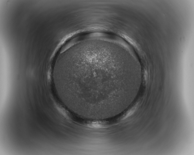 X0000087050064200704181246
