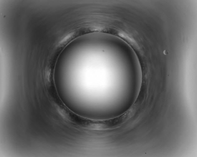 X0000087050066200704181246