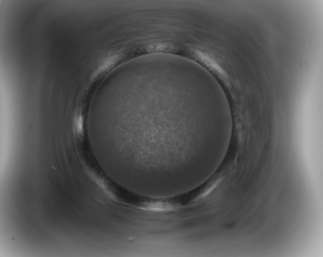 X0000087050067200704181246