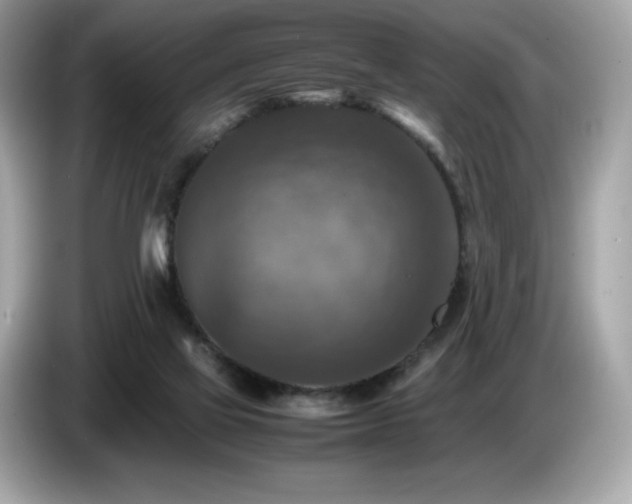 X0000087050069200704181246
