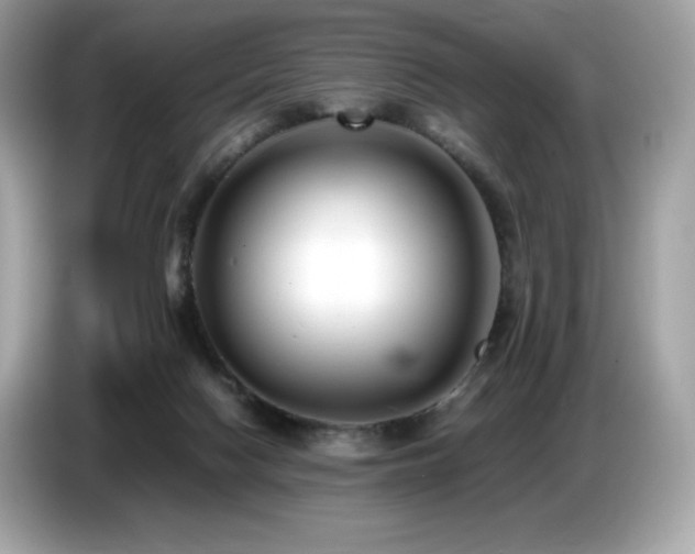 X0000087050074200704181246