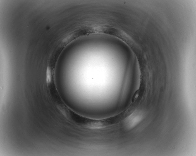 X0000087050075200704181246