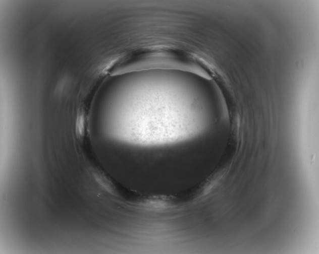 X0000087050076200704181246