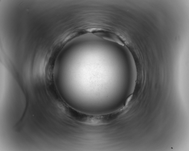 X0000087050078200704181246