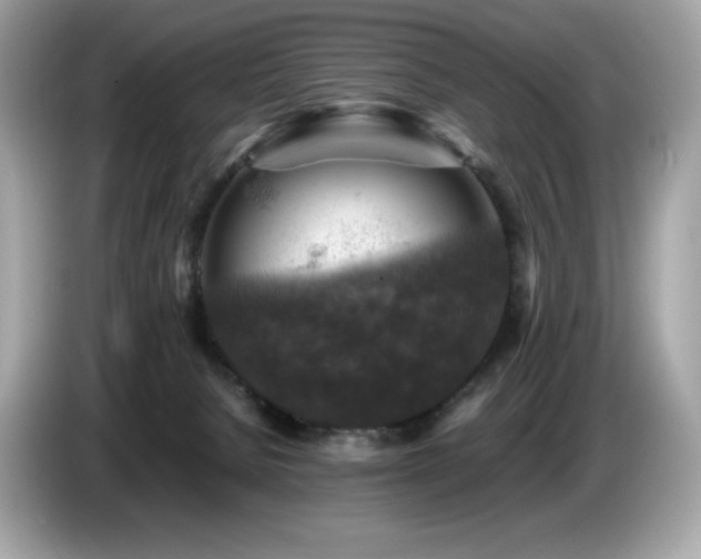 X0000087050080200704181246
