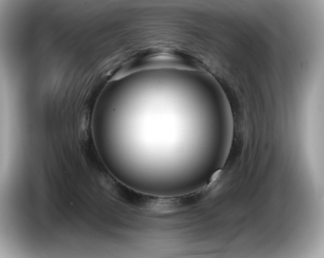 X0000087050082200704181246