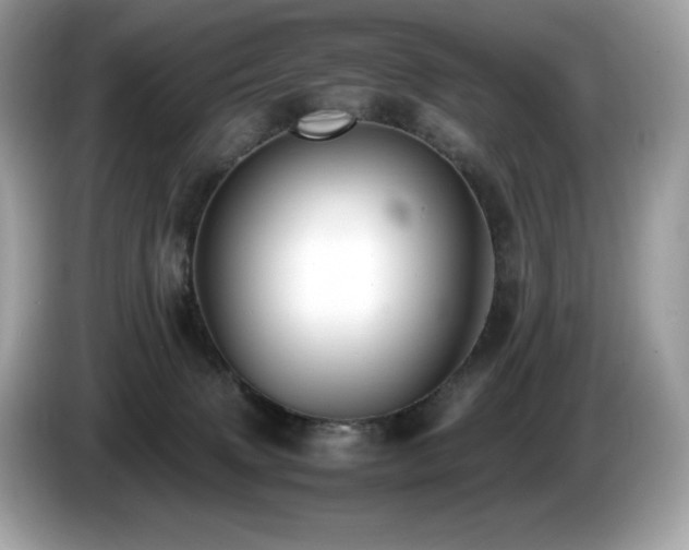 X0000087050083200704181246