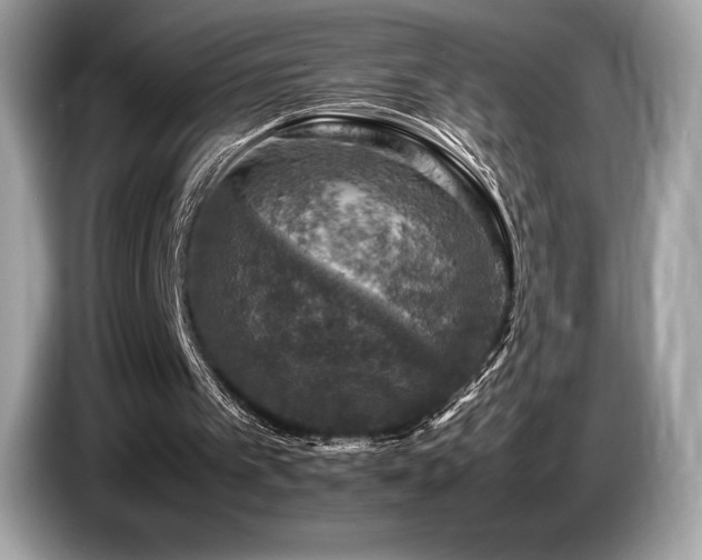 X0000087050097200704181245